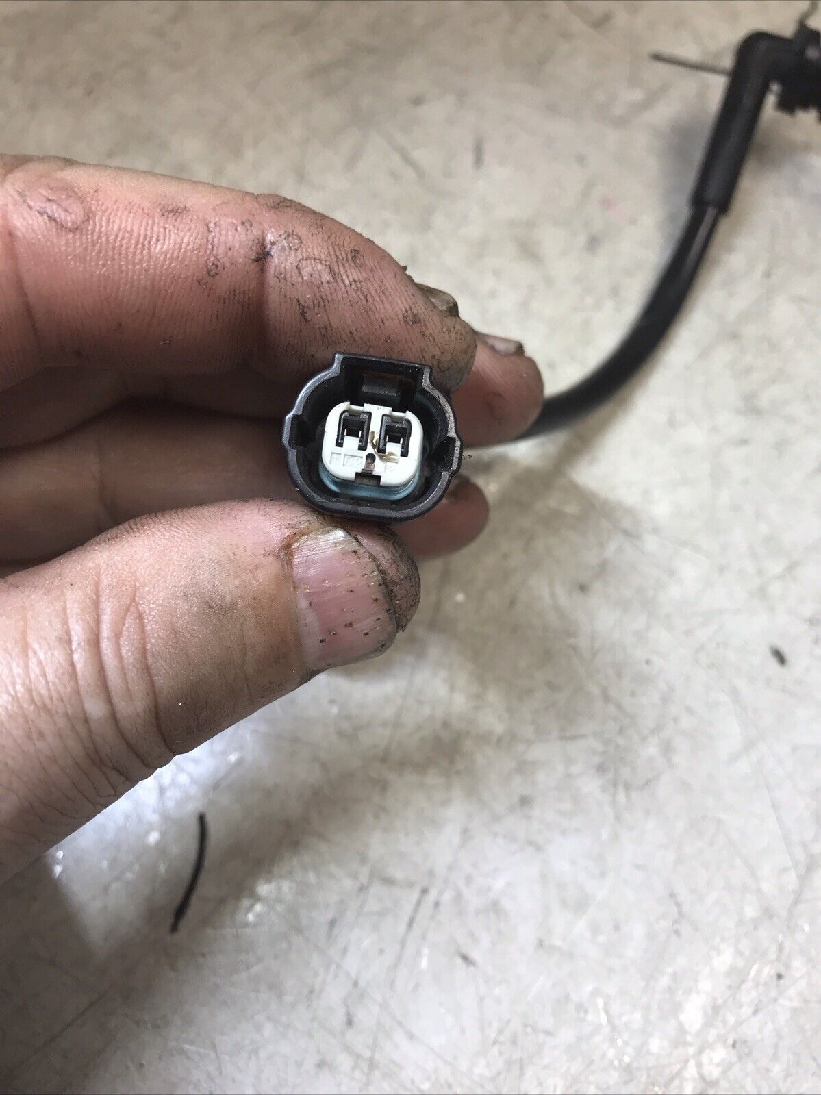 5674295